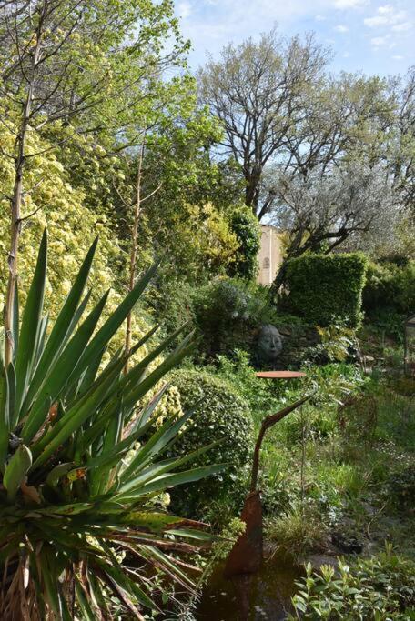 La Petite Maison Des Artistes Séguret Zewnętrze zdjęcie