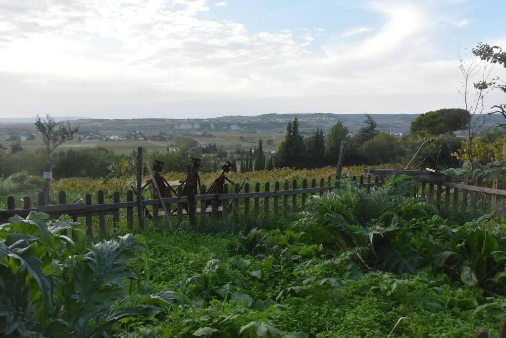 La Petite Maison Des Artistes Séguret Zewnętrze zdjęcie