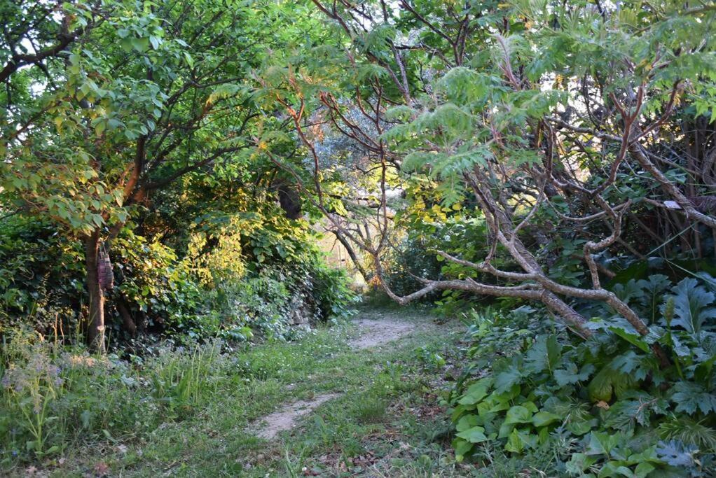 La Petite Maison Des Artistes Séguret Zewnętrze zdjęcie