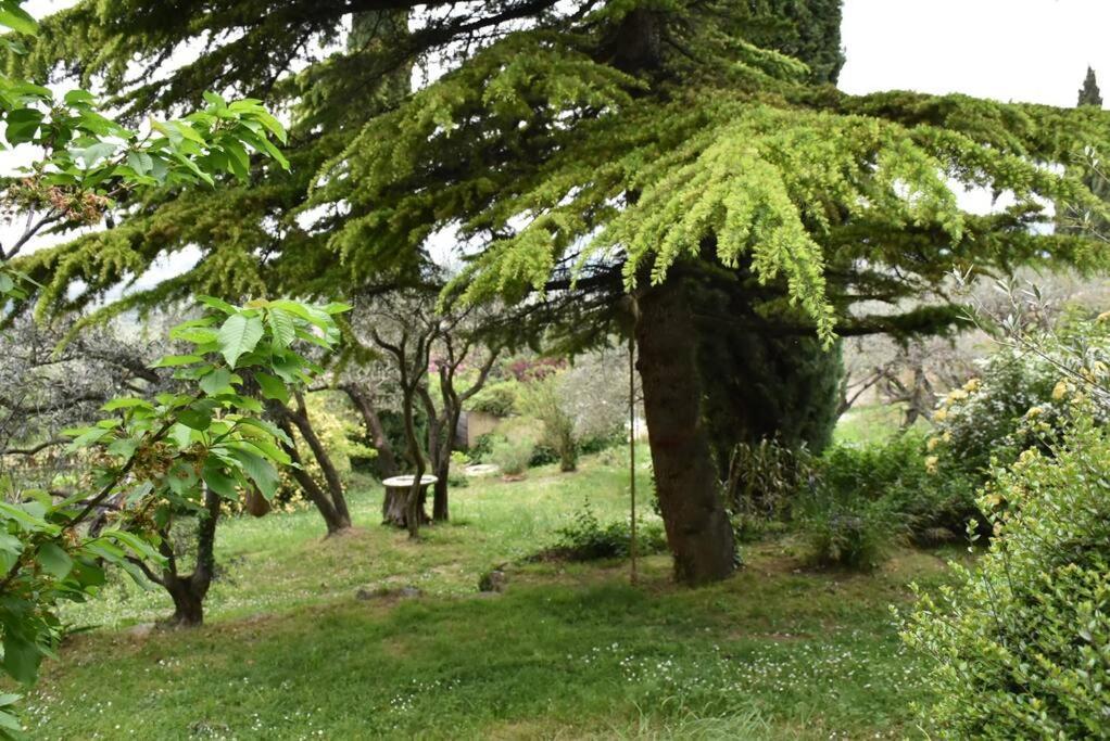 La Petite Maison Des Artistes Séguret Zewnętrze zdjęcie
